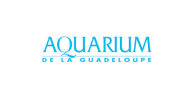 L’Aquarium