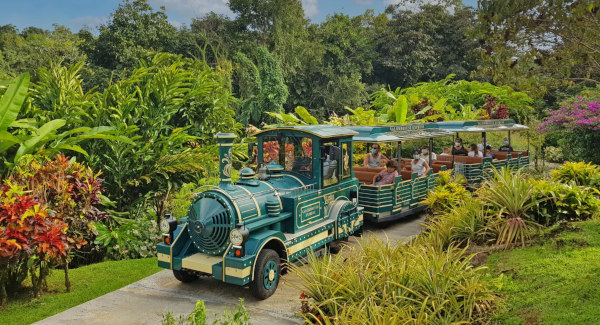 Identité et héritage : culture, mémoire et transmission — visuel 2