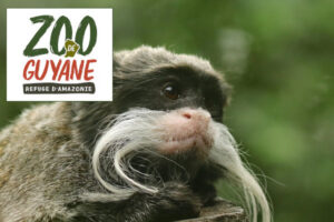 Zoo de Guyane