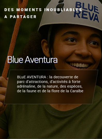 Blue Aventura
