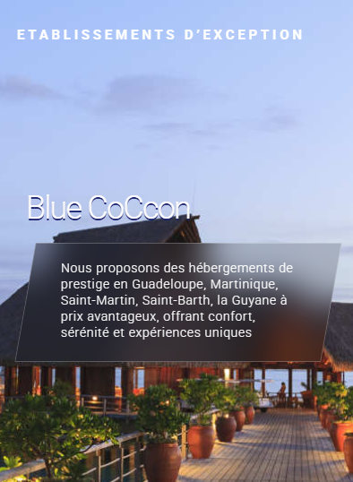 Blue Coccon