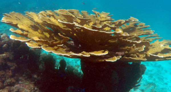 BIO REVA : biodiversité, nature et parcours éducatifs — visuel 1