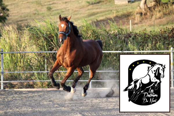 Blue Reva Évasion : visuel 3