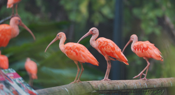 BIO REVA : biodiversité, nature et parcours éducatifs — visuel 2