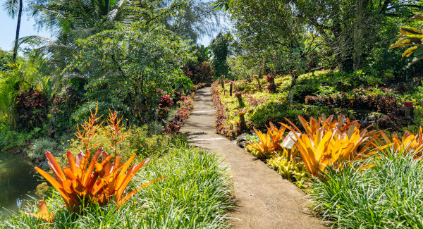 Jardin de Valombreuse