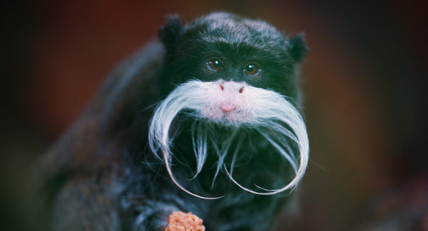 BIO REVA : biodiversité, nature et parcours éducatifs — visuel 3