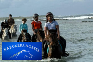 karukera Horse